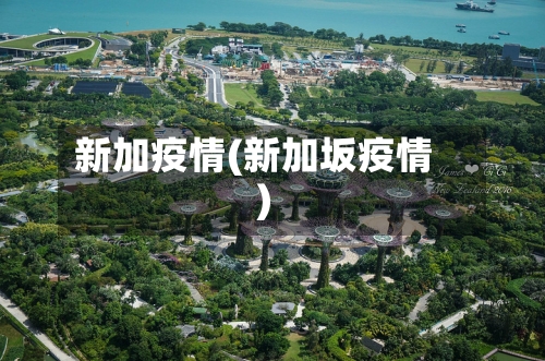 新加疫情(新加坂疫情)-第2张图片