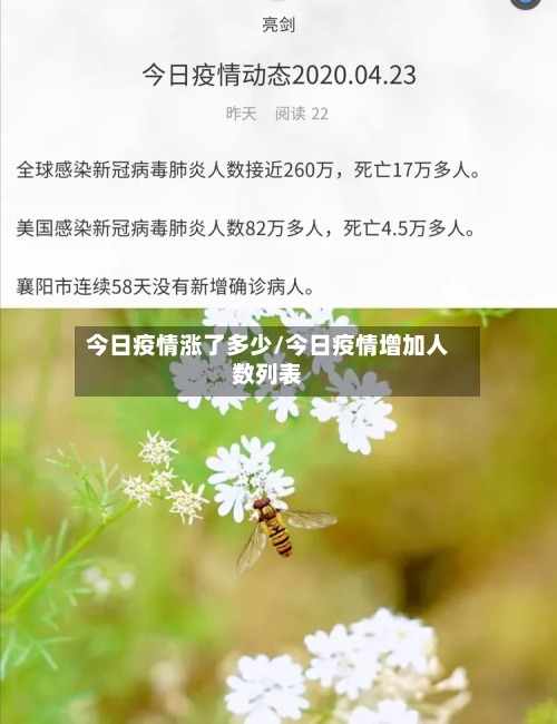今日疫情涨了多少/今日疫情增加人数列表