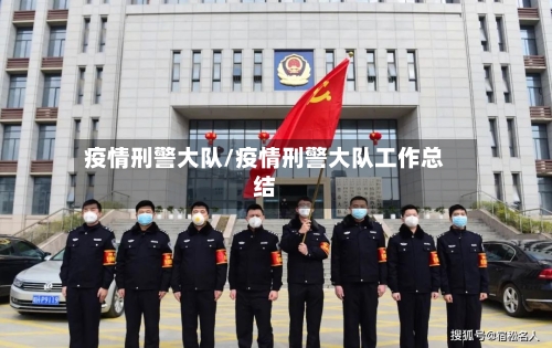 疫情刑警大队/疫情刑警大队工作总结-第2张图片