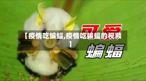 【疫情吃蝙蝠,疫情吃蝙蝠的视频】-第2张图片