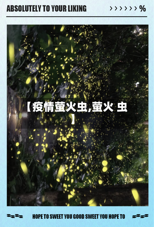 【疫情萤火虫,萤火 虫】