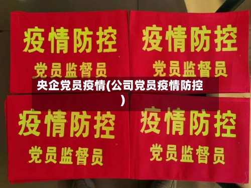 央企党员疫情(公司党员疫情防控)-第3张图片