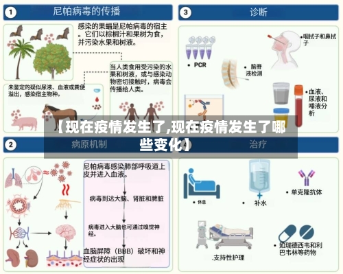 【现在疫情发生了,现在疫情发生了哪些变化】-第2张图片