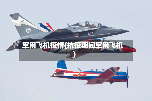 军用飞机疫情(抗疫期间军用飞机)-第2张图片
