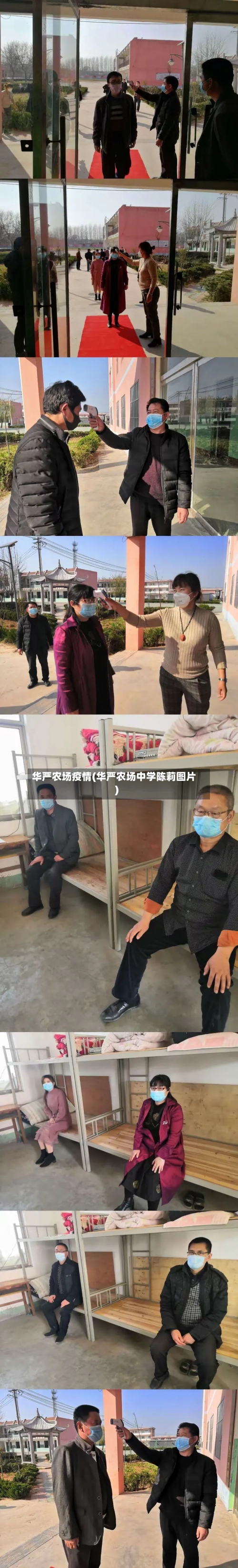 华严农场疫情(华严农场中学陈莉图片)