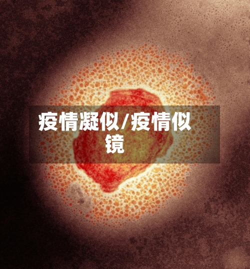 疫情凝似/疫情似镜-第2张图片