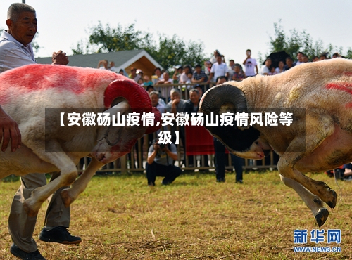 【安徽砀山疫情,安徽砀山疫情风险等级】-第3张图片