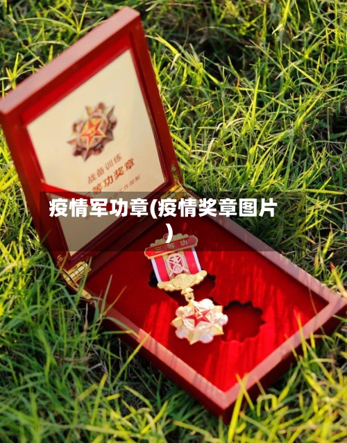 疫情军功章(疫情奖章图片)-第2张图片