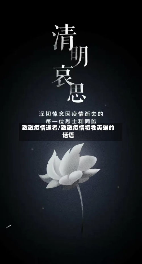 致敬疫情逝者/致敬疫情牺牲英雄的话语