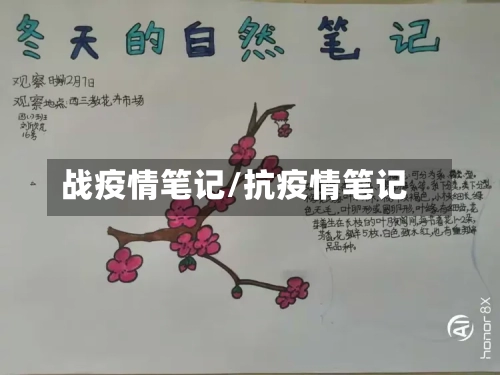 战疫情笔记/抗疫情笔记