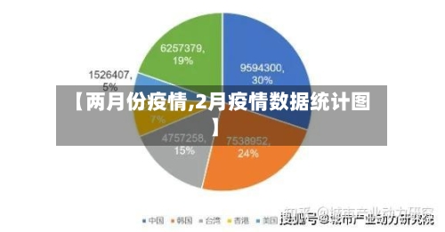【两月份疫情,2月疫情数据统计图】-第2张图片