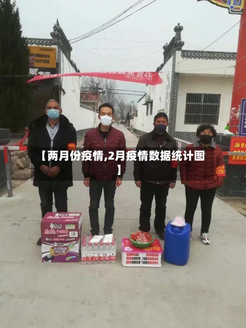 【两月份疫情,2月疫情数据统计图】