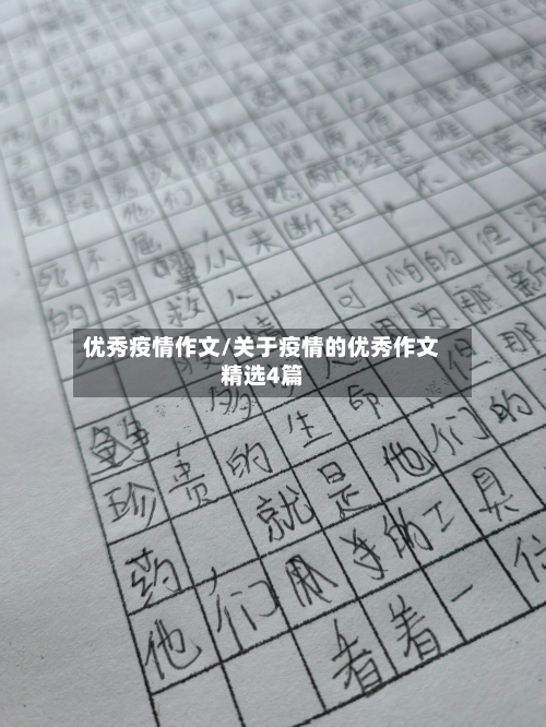 优秀疫情作文/关于疫情的优秀作文精选4篇-第3张图片