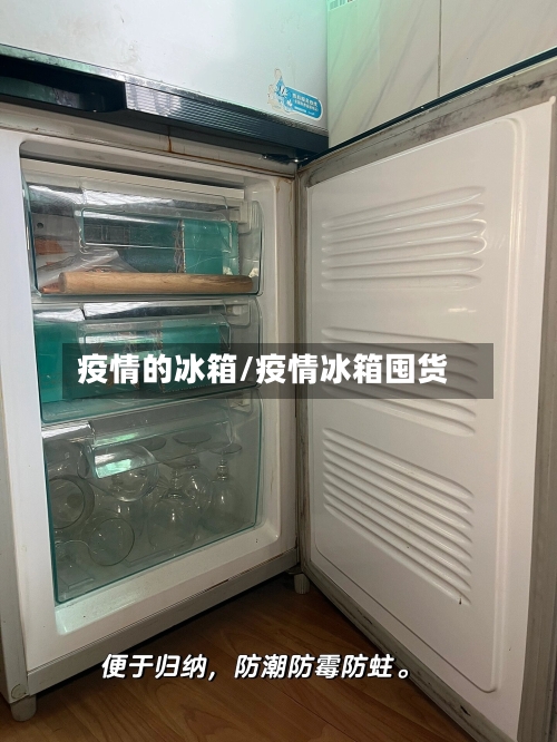 疫情的冰箱/疫情冰箱囤货
