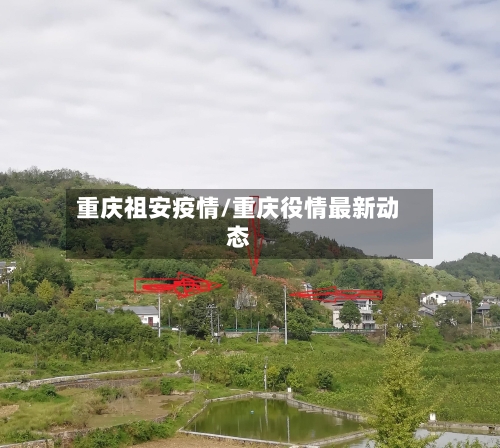 重庆祖安疫情/重庆役情最新动态