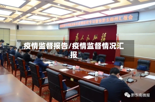 疫情监督报告/疫情监督情况汇报-第2张图片