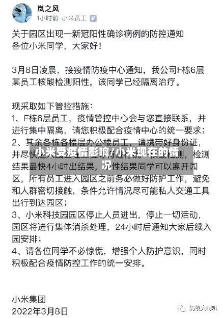 小米受疫情影响/小米现在的情况-第3张图片