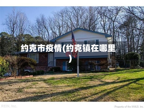 约克市疫情(约克镇在哪里)-第2张图片