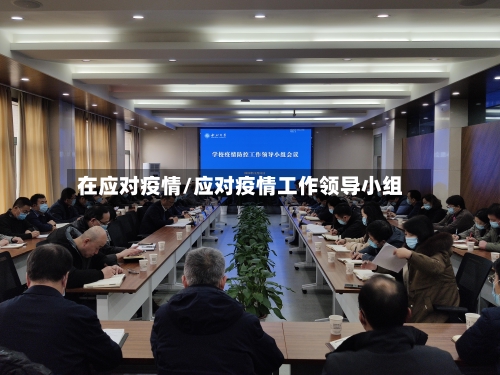 在应对疫情/应对疫情工作领导小组