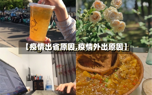 【疫情出省原因,疫情外出原因】