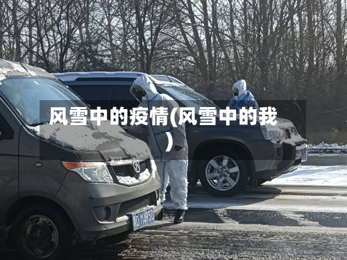 风雪中的疫情(风雪中的我)
