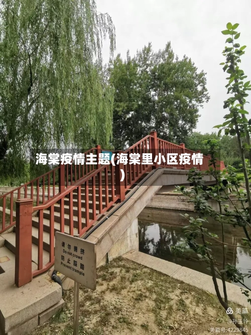 海棠疫情主题(海棠里小区疫情)
