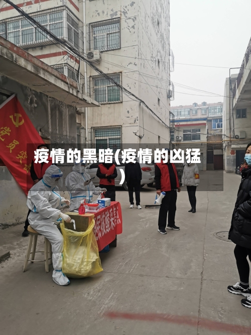 疫情的黑暗(疫情的凶猛)-第3张图片