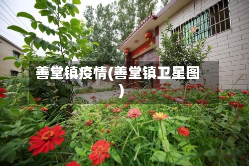 善堂镇疫情(善堂镇卫星图)-第3张图片