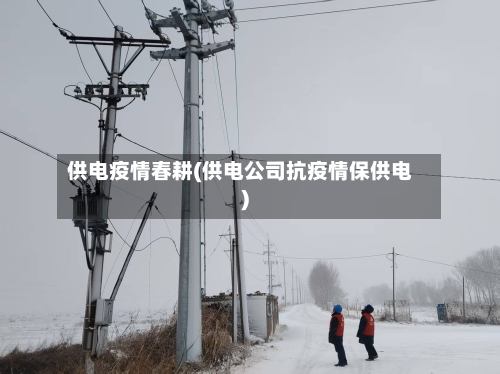 供电疫情春耕(供电公司抗疫情保供电)-第3张图片