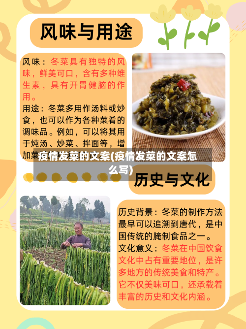 疫情发菜的文案(疫情发菜的文案怎么写)