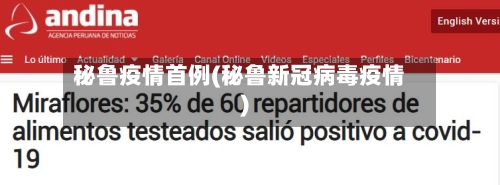 秘鲁疫情首例(秘鲁新冠病毒疫情)