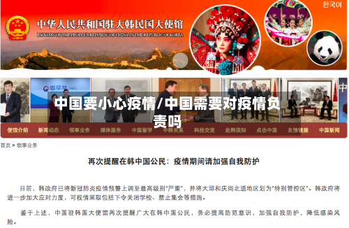 中国要小心疫情/中国需要对疫情负责吗