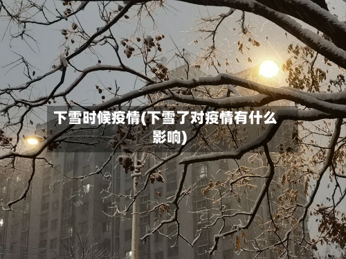 下雪时候疫情(下雪了对疫情有什么影响)-第2张图片