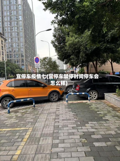 宜停车疫情七(宜停车禁停时间停车会怎么样)-第3张图片