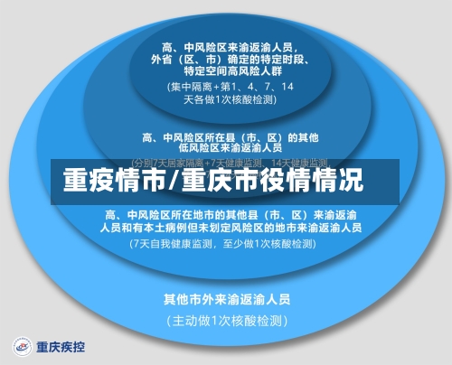 重疫情市/重庆市役情情况-第3张图片