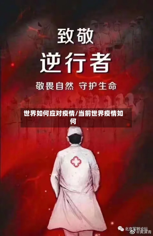 世界如何应对疫情/当前世界疫情如何-第2张图片