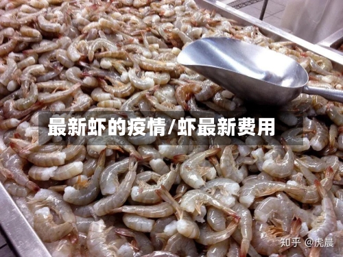 最新虾的疫情/虾最新费用-第2张图片