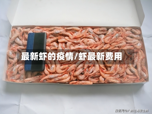 最新虾的疫情/虾最新费用-第3张图片