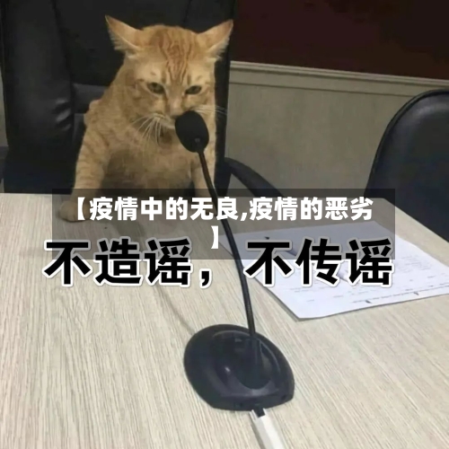 【疫情中的无良,疫情的恶劣】