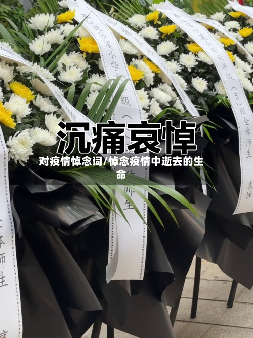 对疫情悼念词/悼念疫情中逝去的生命