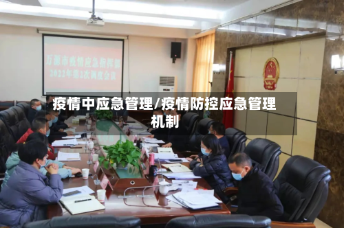 疫情中应急管理/疫情防控应急管理机制