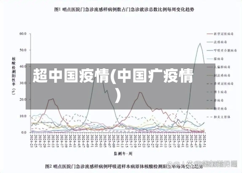 超中国疫情(中国疒疫情)-第2张图片