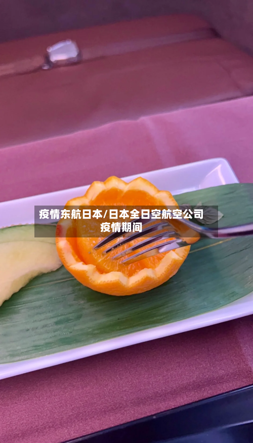 疫情东航日本/日本全日空航空公司疫情期间