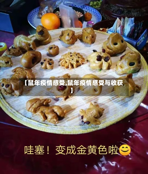 【鼠年疫情感受,鼠年疫情感受与收获】-第3张图片