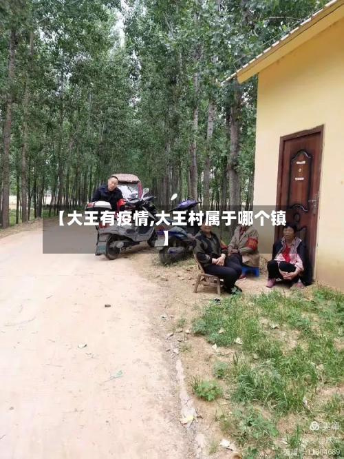 【大王有疫情,大王村属于哪个镇】