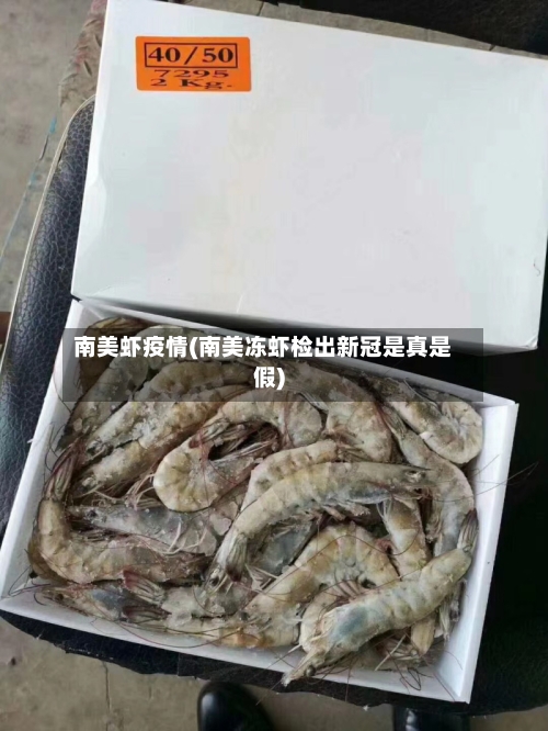 南美虾疫情(南美冻虾检出新冠是真是假)