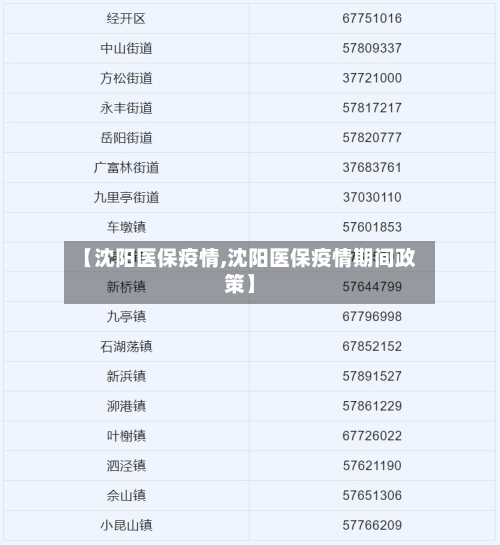 【沈阳医保疫情,沈阳医保疫情期间政策】