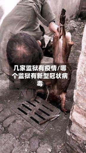 几家监狱有疫情/哪个监狱有新型冠状病毒-第2张图片