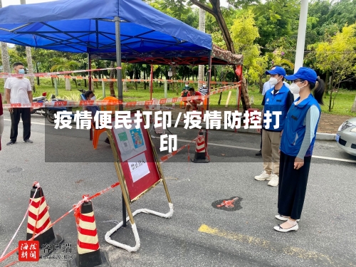 疫情便民打印/疫情防控打印