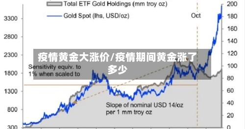 疫情黄金大涨价/疫情期间黄金涨了多少-第2张图片